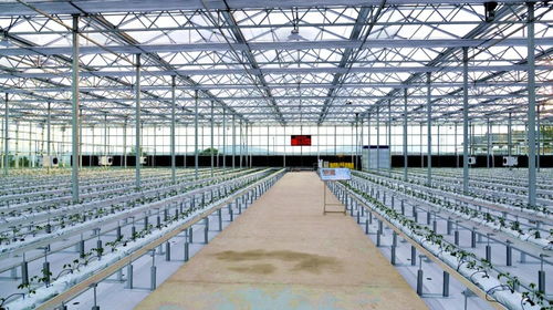 走進四方臺紫云嶺現(xiàn)代農(nóng)業(yè)示范園區(qū)的智能溫室 大棚材料與配套設(shè)施的設(shè)計