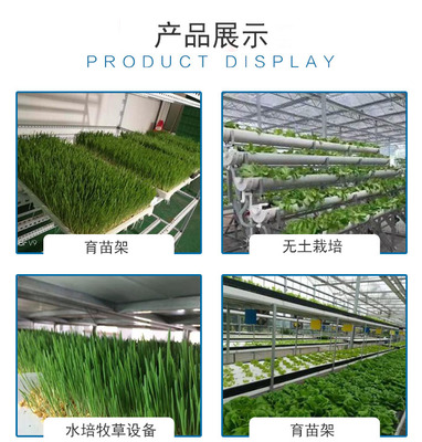 青泓農業 畜牧牧草種植設備與大棚材料及配套設施設計的創新實踐