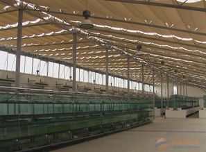 溫室農(nóng)業(yè)產(chǎn)業(yè)鏈全景 品牌、采購、圖片與批發(fā)中的大棚材料及配套設(shè)施設(shè)計(jì)